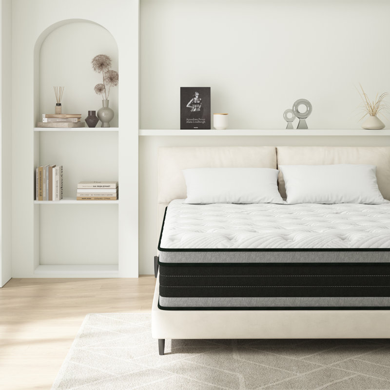 Asellus 14 Medium Firm Hybrid Pillow Top Mattresses in A Box Alwyn Home Mattress Size Queen